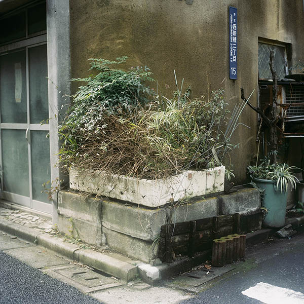 Japan (work in progress) / Japan (10) / 14
	  - All rights reserved. Copyright: Anne Schwalbe