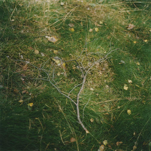 PUGNAT: Amanita / Pugnat (30) / 39
	  - All rights reserved. Copyright: Anne Schwalbe