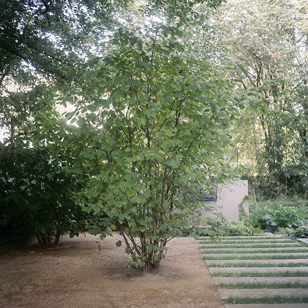 Sculpture Garden of Knig Galerie in Berlin for Knig Magazine / St.Agnes/Knig Galerie  (13) / 24
	  - All rights reserved. Copyright: Anne Schwalbe