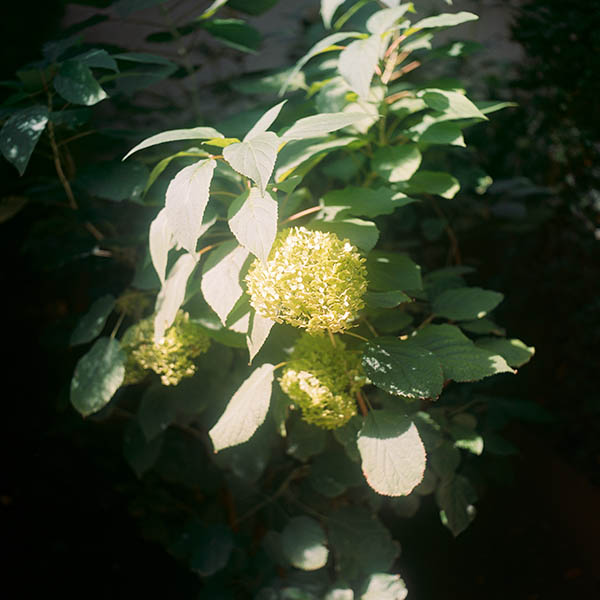 Sculpture Garden of Knig Galerie in Berlin for Knig Magazine / St.Agnes/Knig Galerie  (19) / 24
	  - All rights reserved. Copyright: Anne Schwalbe