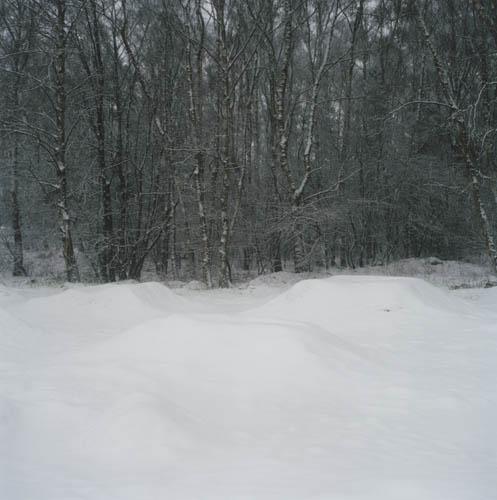 Schnee, 2006 / Blindschleiche  und Riesenblatt (16) / 32
	  - All rights reserved. Copyright: Anne Schwalbe