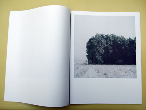 Page 4: Noch ein Winterwald, 2006  - All rights reserved. Copyright: Anne Schwalbe
