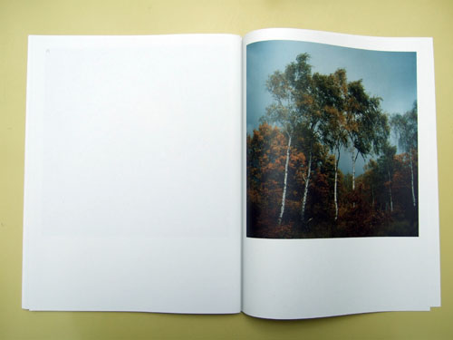 Page 28: Birken, 2006  - All rights reserved. Copyright: Anne Schwalbe