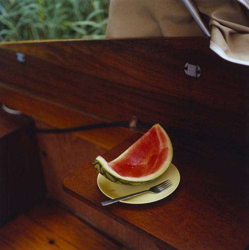 Melone, 2011  - All rights reserved. Copyright: Anne Schwalbe
