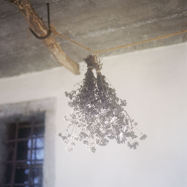 - All rights reserved. Copyright: Anne Schwalbe