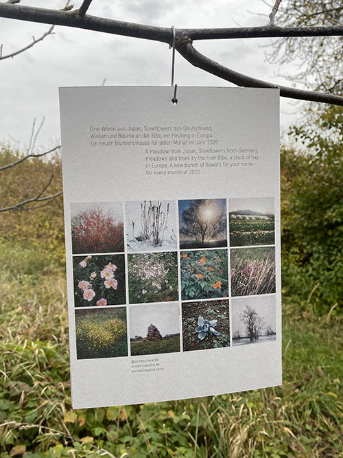   - All rights reserved. Copyright: Anne Schwalbe