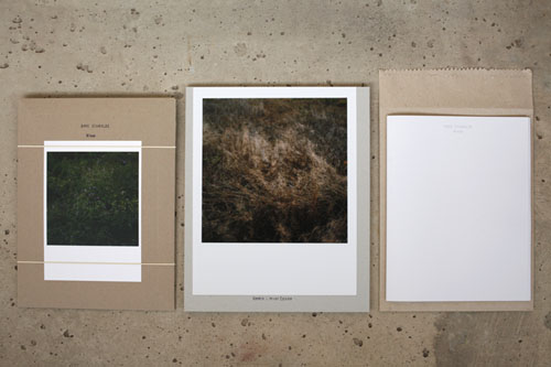 Wiese - the Special Limited Edition, includes an analogue Color Print 