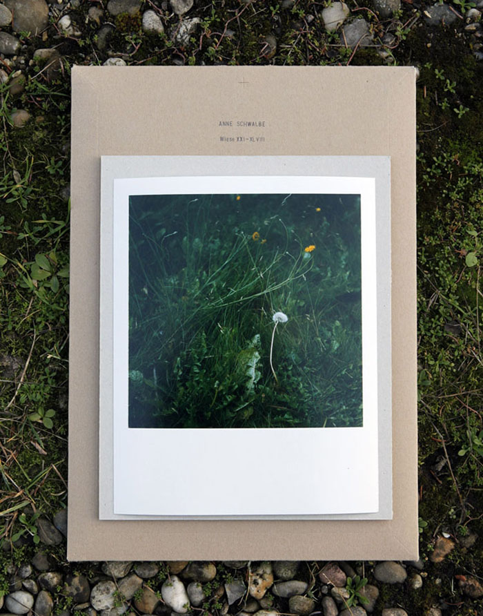 The Special Edition: A print of Wiese XLI + a book.  - All rights reserved. Copyright: Anne Schwalbe