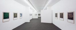 ANNE SCHWALBE