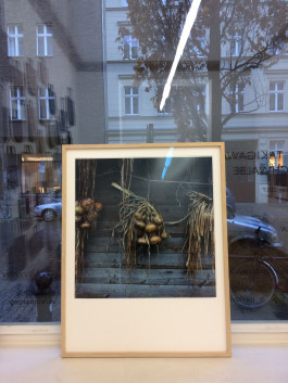 ANNE SCHWALBE