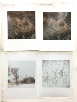 ANNE SCHWALBE