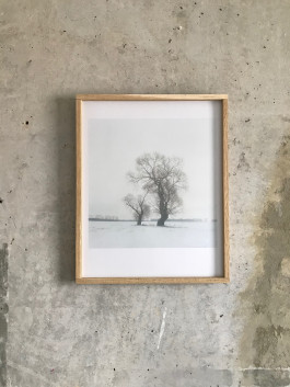 ANNE SCHWALBE