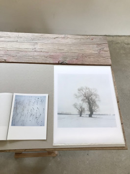 ANNE SCHWALBE