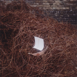 ANNE SCHWALBE