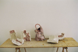 ANNE SCHWALBE