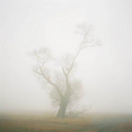 ANNE SCHWALBE
