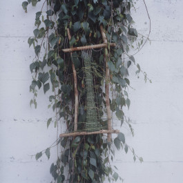 ANNE SCHWALBE