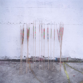 ANNE SCHWALBE