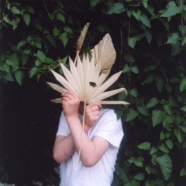 ANNE SCHWALBE