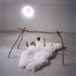 ANNE SCHWALBE
